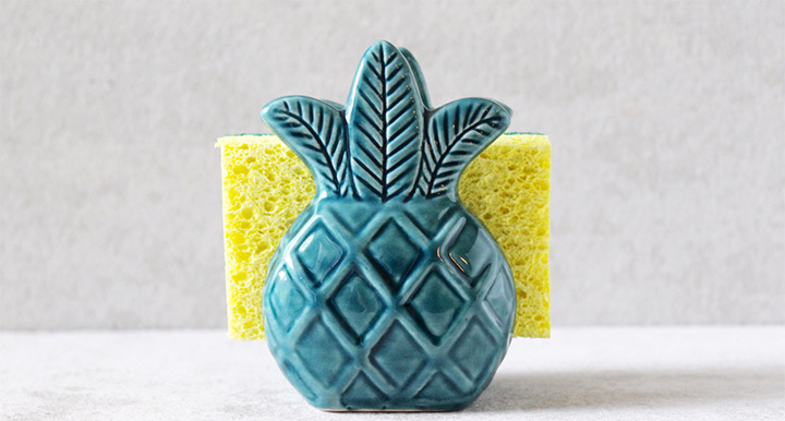 pineapple sponge holder