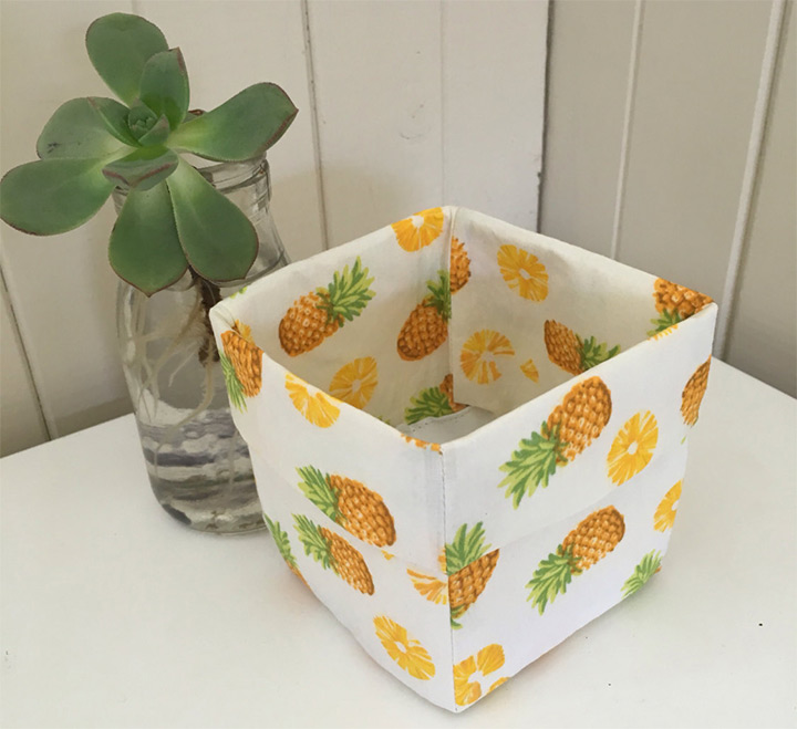 pineapple storage boxes