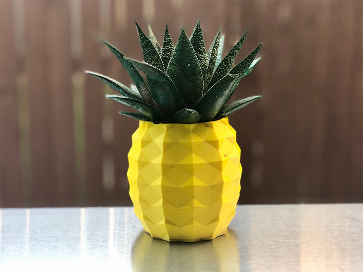 pineapple vases