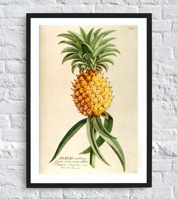 pineapple prints